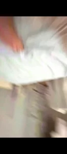后入母狗